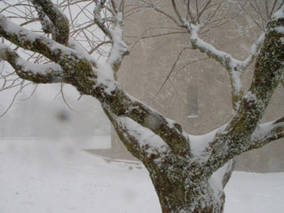 Clima Temperatura en Sicilia