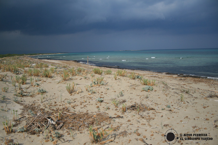 Playa de Vendicari