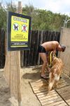 Duchas para perros en las playas de Sicilia